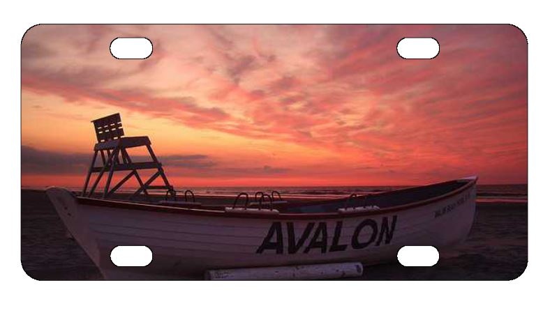 Avalon License Plate