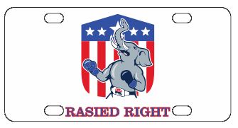 Raised Right License Plate