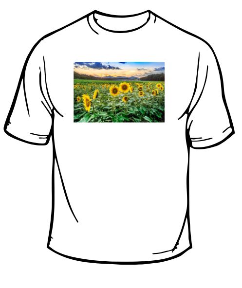 Sunflower Field Scenic T-Shirt