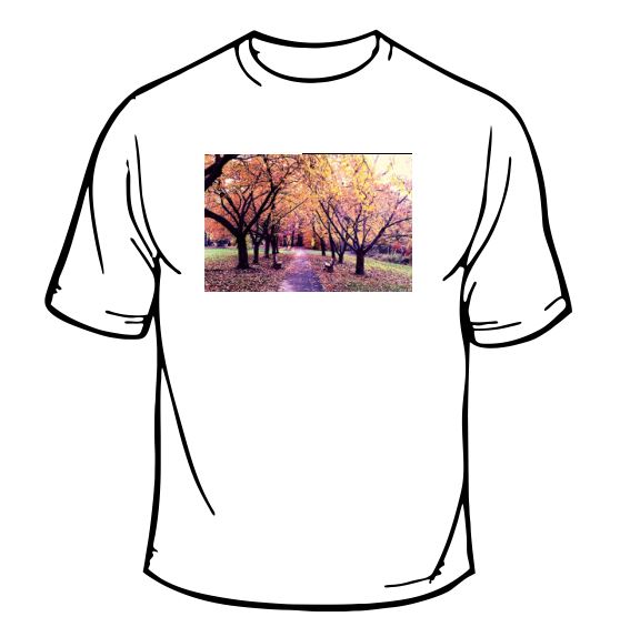 Trees And Leaves Scenic T-Shirt