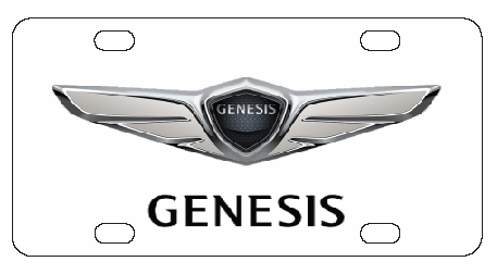 Hyundai Genesis License Plate