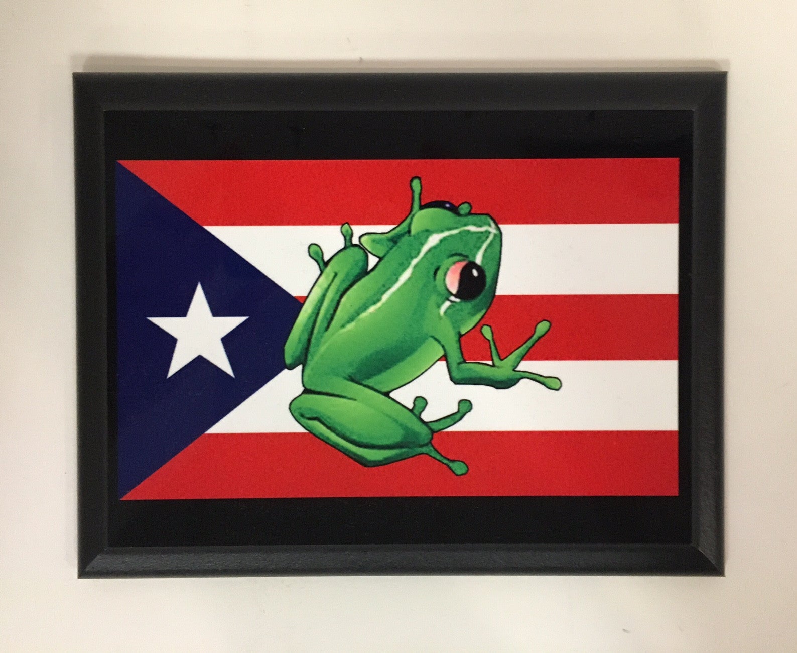 Puerto Rican Flag (with Frog) Plaque